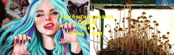 метадон Порхов
