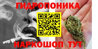 дмт Гай