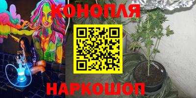 дмт Гай