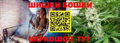 дмт Гай