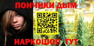 spice Гатчина