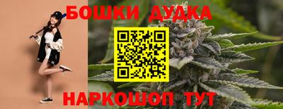 spice Гатчина