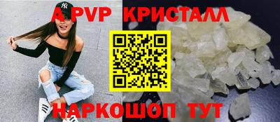 дмт Гай