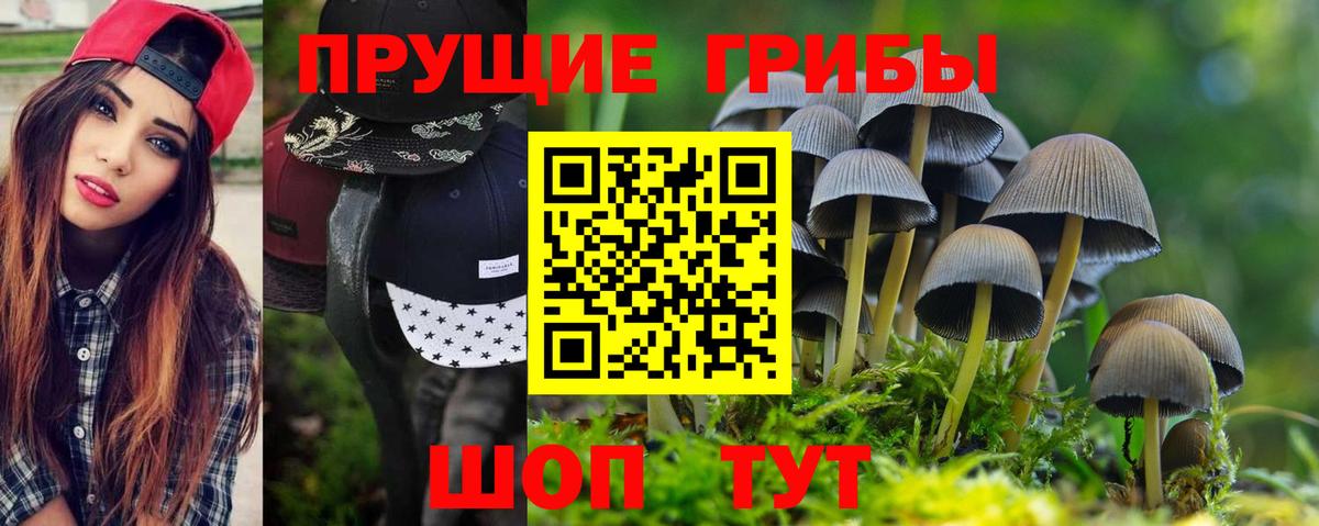 Приморско-Ахтарск  Галлюциногенные грибы MAGIC MUSHROOMS  Вход с VPN 